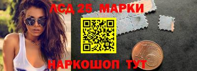 гидропоника Тверь