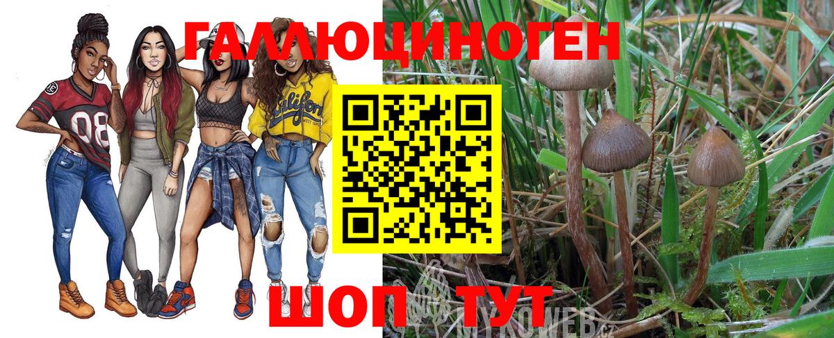 Галлюциногенные грибы ЛСД Мценск